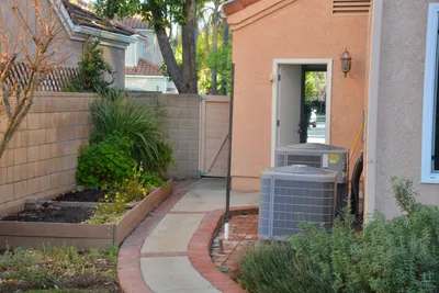 DSC_7370 (Large).JPG